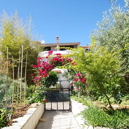 Διαμέρισμα Rose